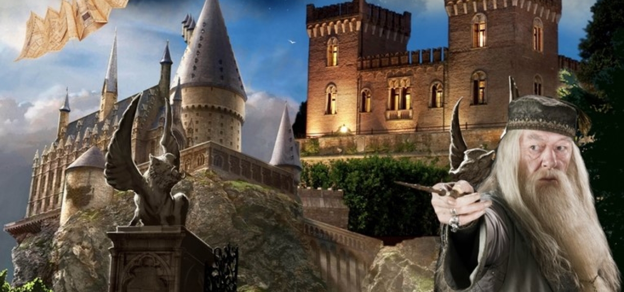 Pacchetto Albus Silente1400