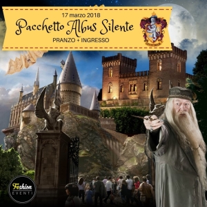 Pacchetto Albus Silente1400