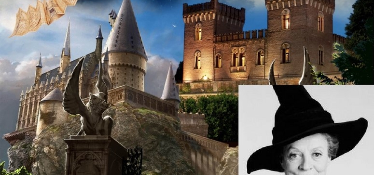 Pacchetto Minerva McGranitt1401