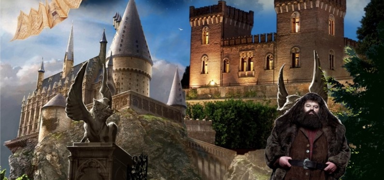 Pacchetto Rubeus Hagrid1402