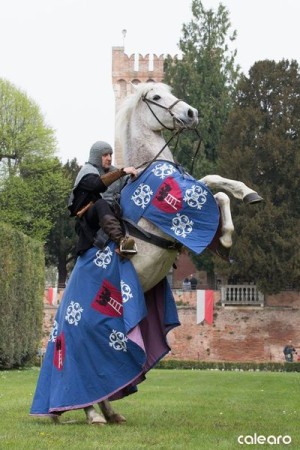 festa medievale castello bevilacqua 02 risultato