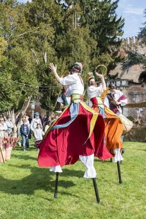 festa medievale castello bevilacqua 04 risultato