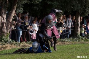 festa medievale castello bevilacqua 07 risultato