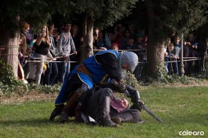 festa medievale castello bevilacqua 09 risultato