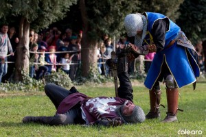 festa medievale castello bevilacqua 10 risultato