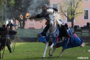 festa medievale castello bevilacqua 12 risultato