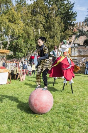 festa medievale castello bevilacqua 16 risultato