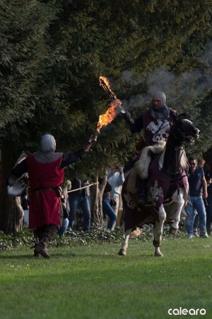 festa medievale castello bevilacqua 19 risultato