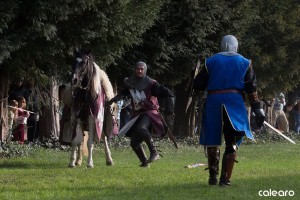 festa medievale castello bevilacqua 26 risultato