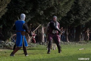 festa medievale castello bevilacqua 28 risultato