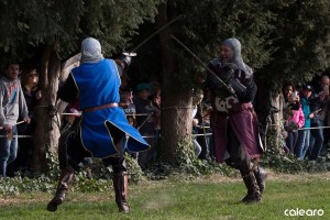 festa medievale castello bevilacqua 30 risultato