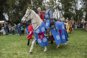 festa medievale castello bevilacqua 45 risultato